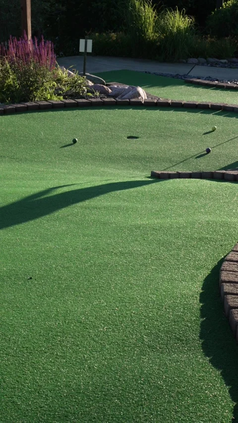 Vertical 4K video of a golf ball rolling across a manicured golf course Stock Footage 342078551