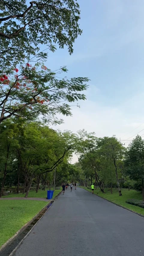 Vertical 4K video moving down from the sky and trees to show a group of people r Stock Footage 342777822