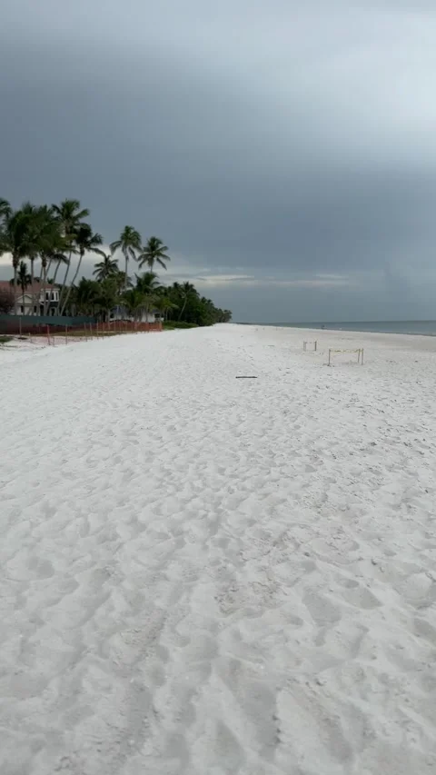 Vertical 4K video of a white sand beach in Naples, Florida Stock Footage 342080040