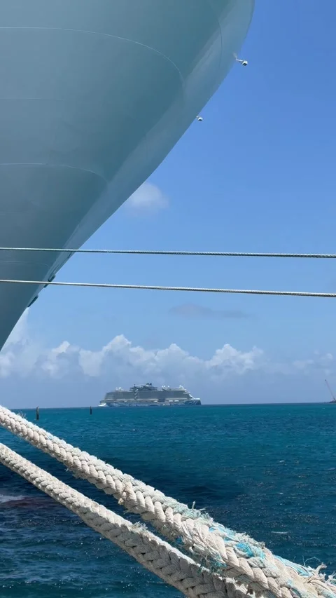 Vertical 4K View Of Anchored Cruise Ship Through Heavy Mooring Ropes Stock Footage 335548438