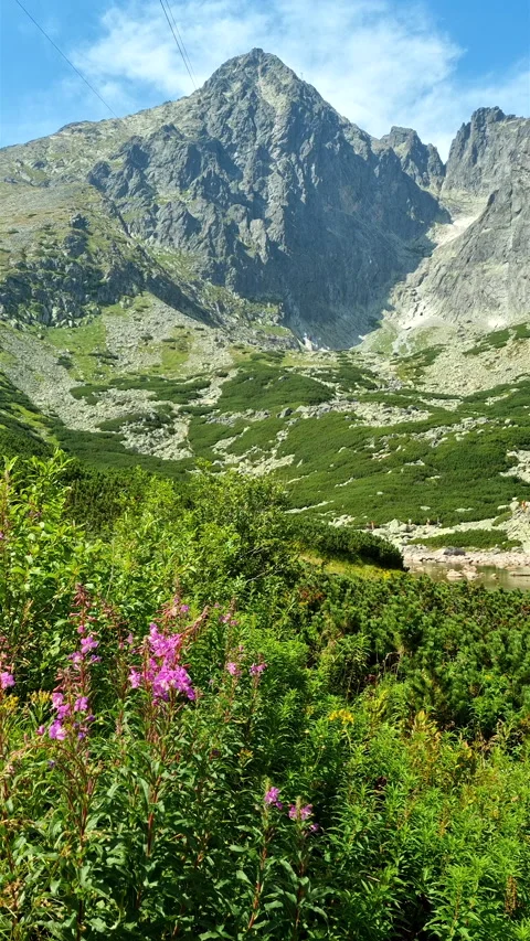 Vertical 4K view of Lomnicky stit peak Slovakia. Vídeos de archivo 337136348