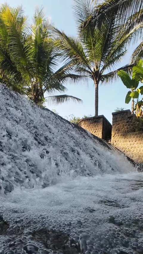 Vertical 4K Wide Tropical Cascade with Palm Trees and Flowing River Water Stock Footage 337158377