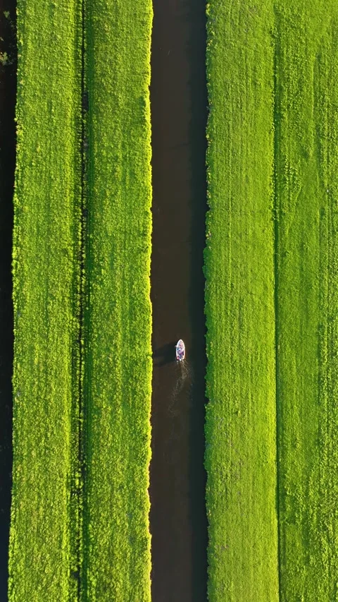Vertical 9:16 drone shot of a small boat sailing along a calm canal. Stock Footage 336982909