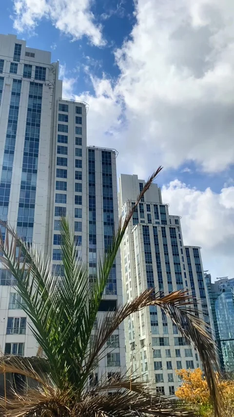 Vertical 9:16 Modern Luxury Skyscraper Towers and Palm Tree Against Blue Sk.. Stock Footage 344770800