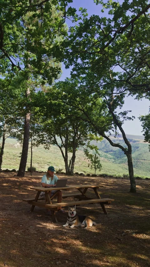 Vertical 9:16 Nomad on Laptop under Oak Trees with Dog Resting Vídeos de archivo 346390728