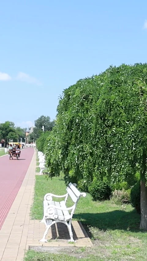 Vertical 9:16 People Riding Tandem Bike on Palic Promenade Stock Footage 333554634