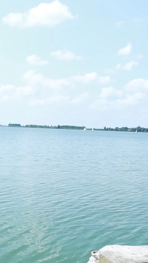 Vertical 9:16 Static Shot of Calm Lake Palic on a Sunny Day Stock-Footage 333554635