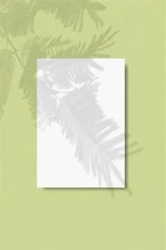 A vertical A4 sheet of white paper on the soft green wall background. Mockup Stock Illustration