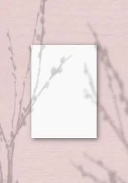 A Vertical A4 sheet of white textured paper on he soft pink wall background.  Stock Illustration