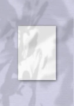 A Vertical A4 sheet of white textured paper on he soft a purple wall backgrou Stock Illustration