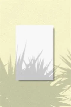 A vertical A4 sheet of white textured paper on the yellow wall background Stock Illustration