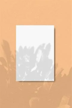 A vertical A4 sheet of white textured paper on the pink wall background. Mockup Stock Illustration