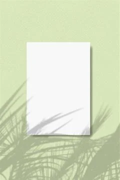 A vertical A4 sheet of white textured paper on the green wall background. Mockup Stock Illustration