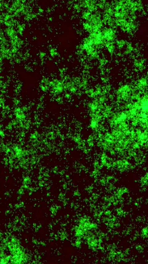Vertical abstract background with green shimmering particles Stock Footage 328390656