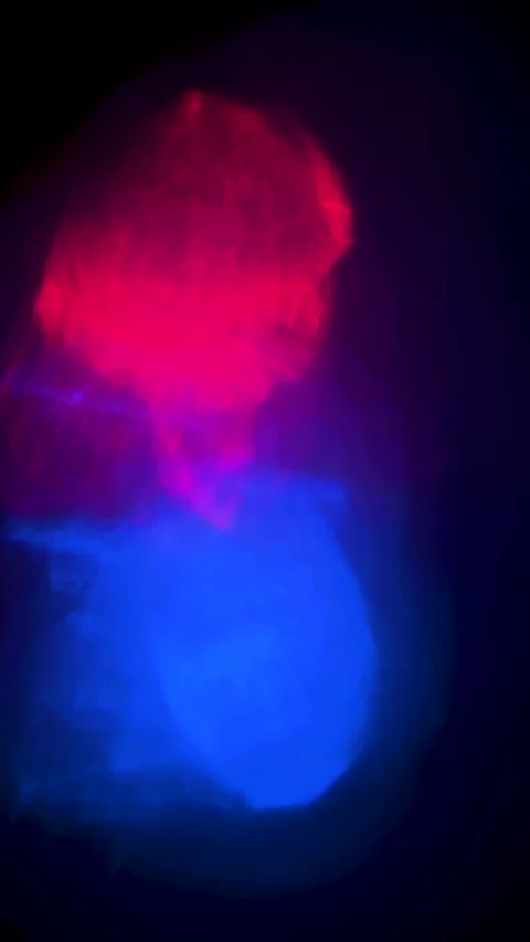 Vertical Abstract Blue and Red Light Overlay Stock Footage 325532657