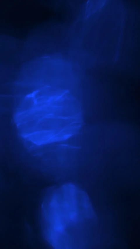 Vertical Abstract Blue Bokeh Light Leak Background With Gentle Movement Stock Footage 330197505