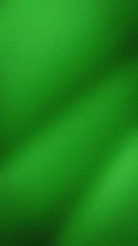 Vertical abstract grainy green dark green light green gradient background w.. Stock Illustration