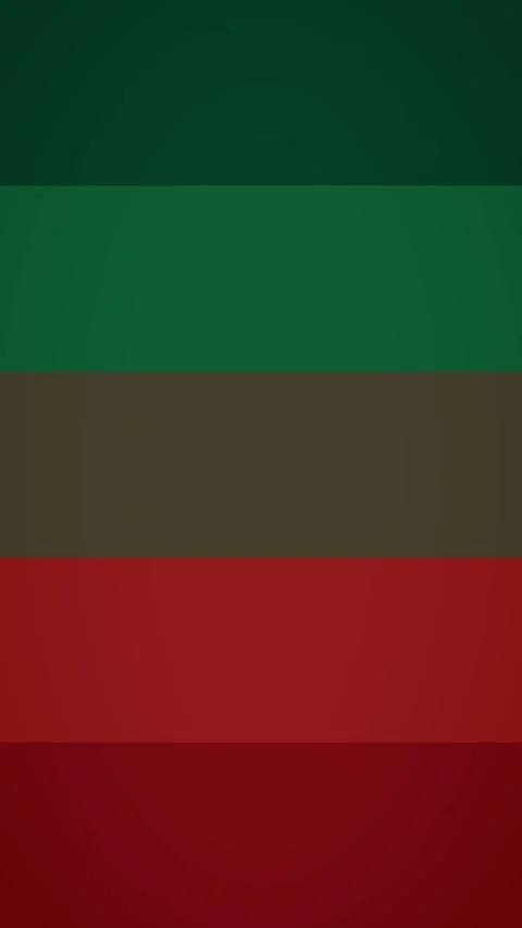 Vertical Abstract Green and Red Color Bars Background 스톡 동영상 325533635