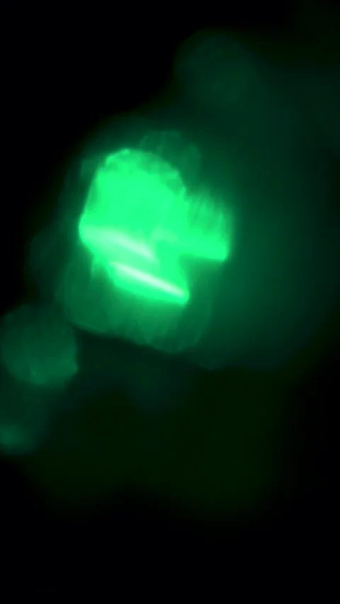 Vertical Abstract Green Light Leak Moving Up Left Overlay Stock Footage 325421380