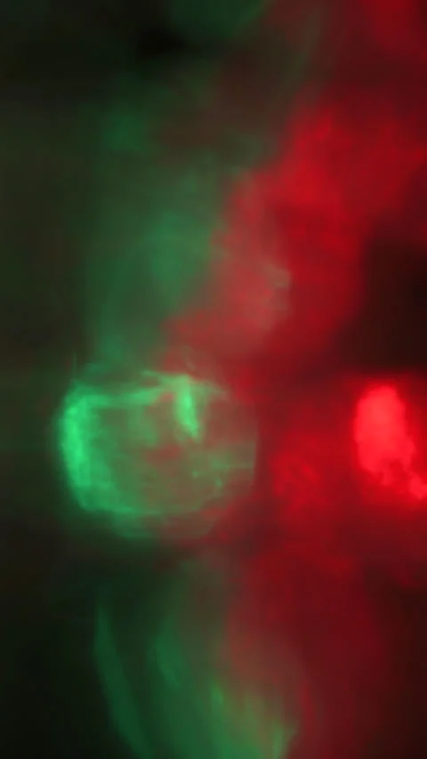 Vertical Abstract Red And Green Bokeh Light Leak With Gentle Movement Stock Footage 330195848