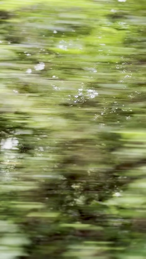 Vertical Abstract Reflection of Lush Green Trees on Water Surface Stock Footage 339048925
