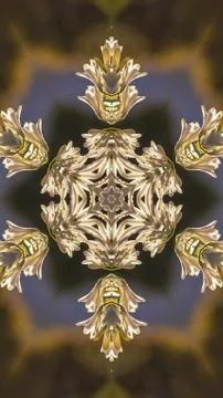 Vertical Abstract star shape with circular snowflake style look made from white Stock Photos