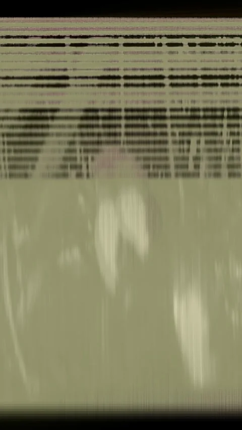Vertical abstract tropical parrot background glitch loop Vídeos de archivo 336298523