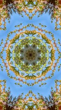 Vertical Abstract view of flowers in circular arrangement at wedding in Stock Photos