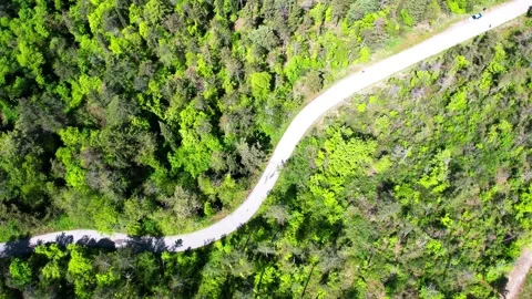 Vertical Aerial 4K view of forest trees-narrow mountain street bikers passes Vídeos de archivo 241354030