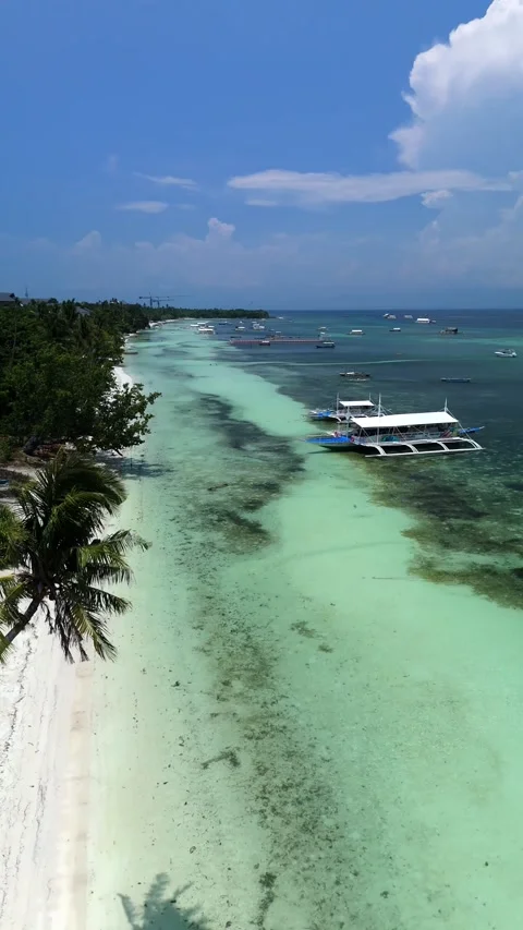 Vertical Aerial Ascend Flyover of Doljo Beach, Panglao Stock Footage 346889651