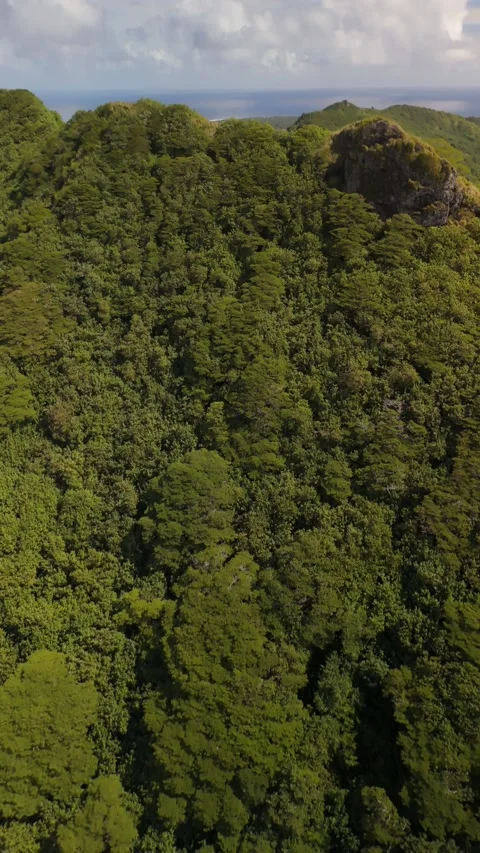 Vertical Aerial Bora Bora Lush Jungle Mountain Ridge Lagoon French Polynesia Vídeo Stock 335508633