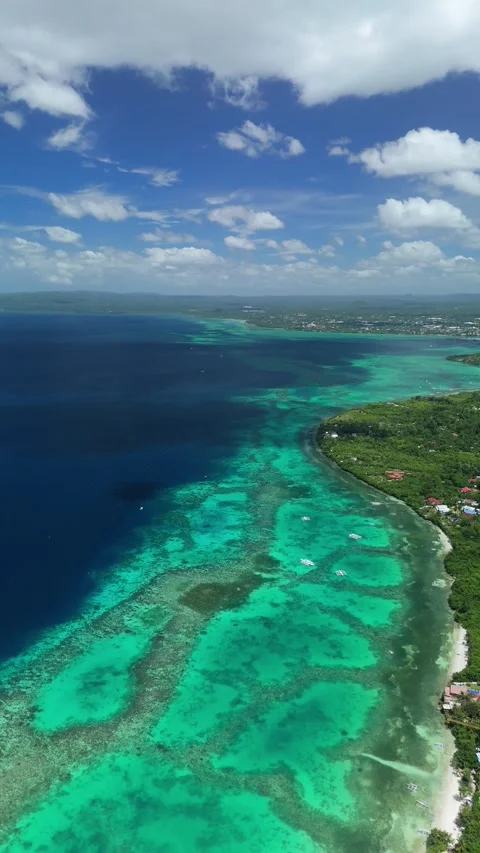 Vertical Aerial Descending Pan Left Panorama of Panglao Beach in Panglao, Bohol 스톡 동영상 332600699