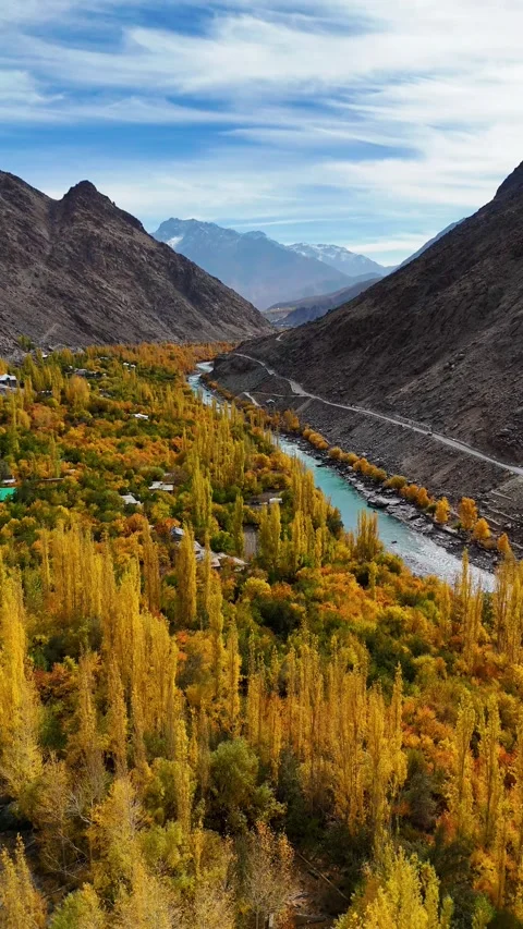 Vertical aerial drone flying alongside a turquoise blue river in autumn. Stock Footage 310664578