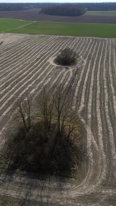 Vertical. Aerial drone flying over plowed farmland with tree islands Video stock 331905347