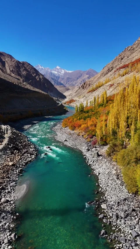 Vertical aerial drone over a blue river wrapped in yellow trees. Stock Footage 310664792