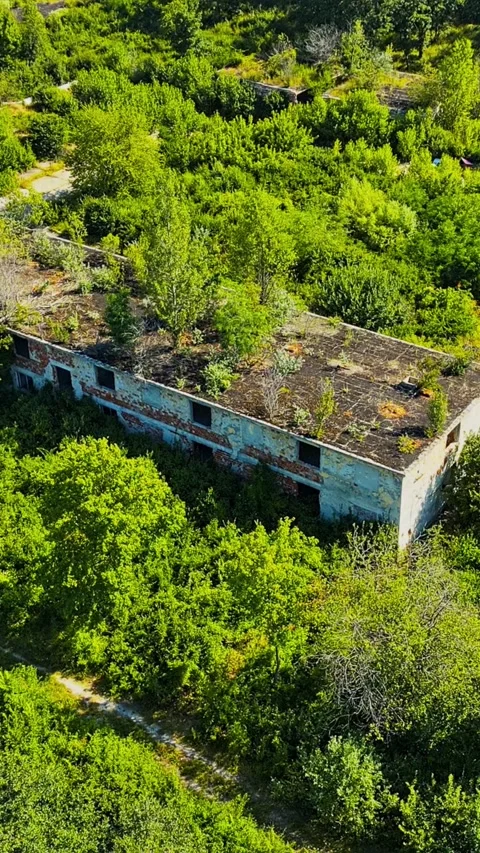 Vertical Aerial Drone Shot of Abandoned Overgrown Building in Lush Green Forest Stock Footage 339979160
