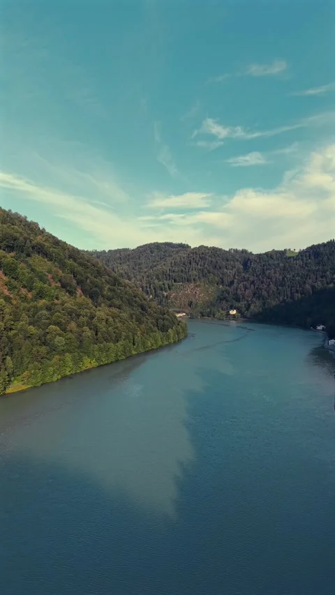 Vertical aerial drone shot over the Danube river winding between forested hills Stock Footage 346390976