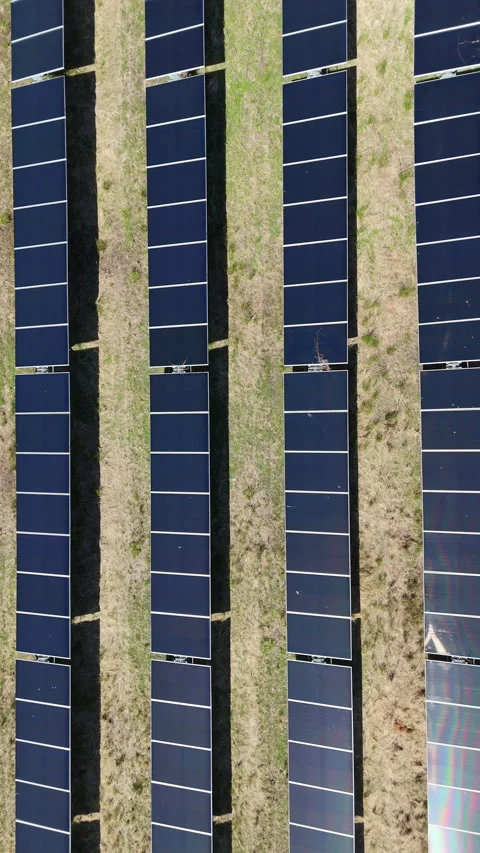 Vertical Aerial Drone Shot of Solar Panel Farm 스톡 동영상 333531258