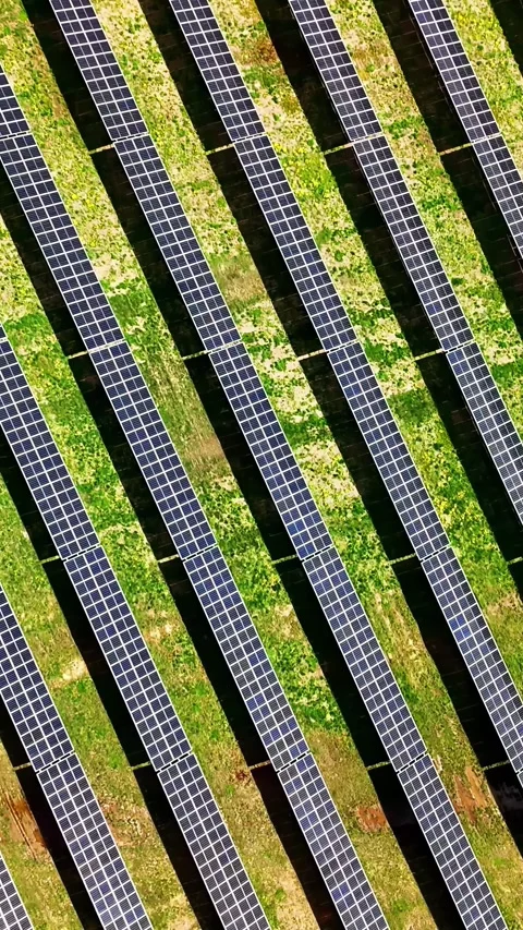 Vertical aerial drone video flying low over array of solar panels Stock Footage 309770841