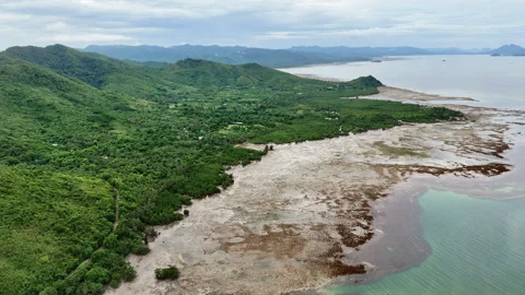 Vertical aerial drone view of a low-tide reef flat with exposed seaweed and Stock Footage 336680381