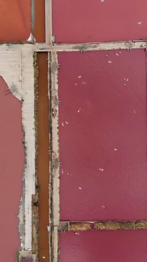Vertical aerial drone view of pink salt evaporation ponds at Atanasovsko Lake. 库存影片 338277915