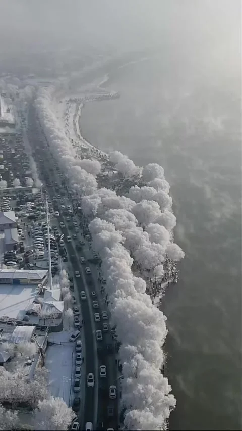 Vertical Aerial Drone View of Rime Ice Trees Along River Road with Traffic Video stock 327996568