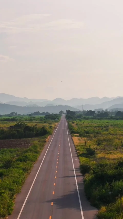 Vertical Aerial fast flight above Tropical asphalt Road surrounded Green Fields Stock Footage 320286478