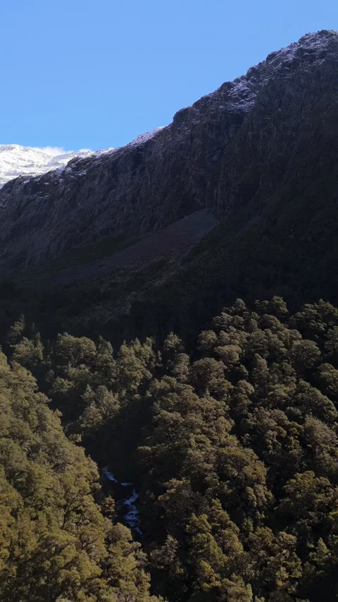 Vertical Aerial of Fiordland Dark Mountain and Stream Vídeo Stock 333972553