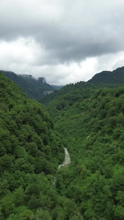 Vertical Aerial Flight Through Narrow Gorge, Egrisi Range, Georgia Stock Footage 341835106