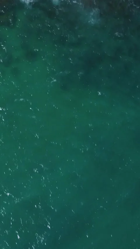 Vertical aerial flyover shot from ocean across rocky land and back to water Video stock 219219253