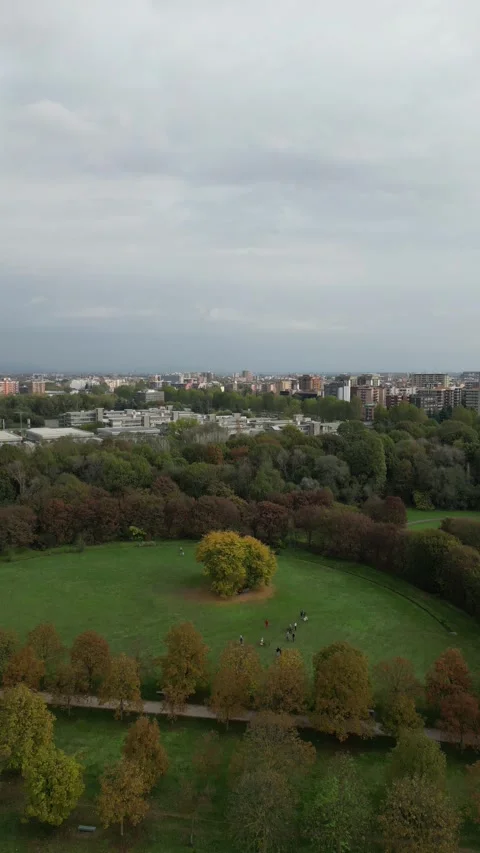 Vertical aerial footage with a skyline view from a park. Stock Footage 260531853