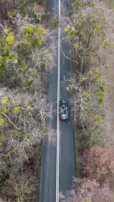 Vertical Aerial Forward Flight with Tilt Up over Road and Black Car in Forest Stock Footage 323875759