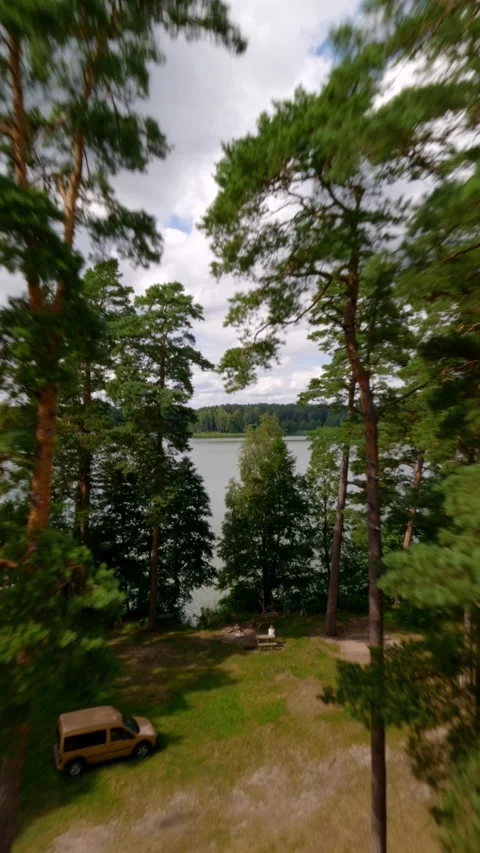 Vertical Aerial FPV Drone Flight Over Lake Shore Pine Forest Stock Footage 345262752