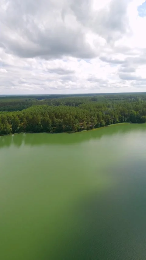 Vertical Aerial FPV Drone Flight Over Green Lake And Pine Forest Stock Footage 345276331
